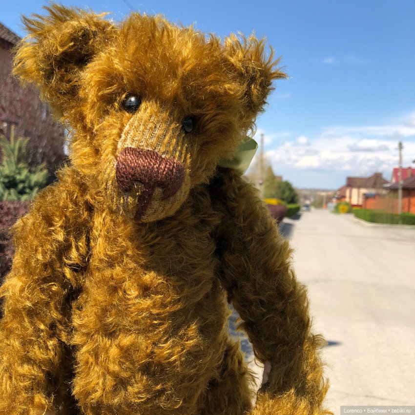 Знакомьтесь, Гюнтер — Домашние фото авторских игрушек: Тедди