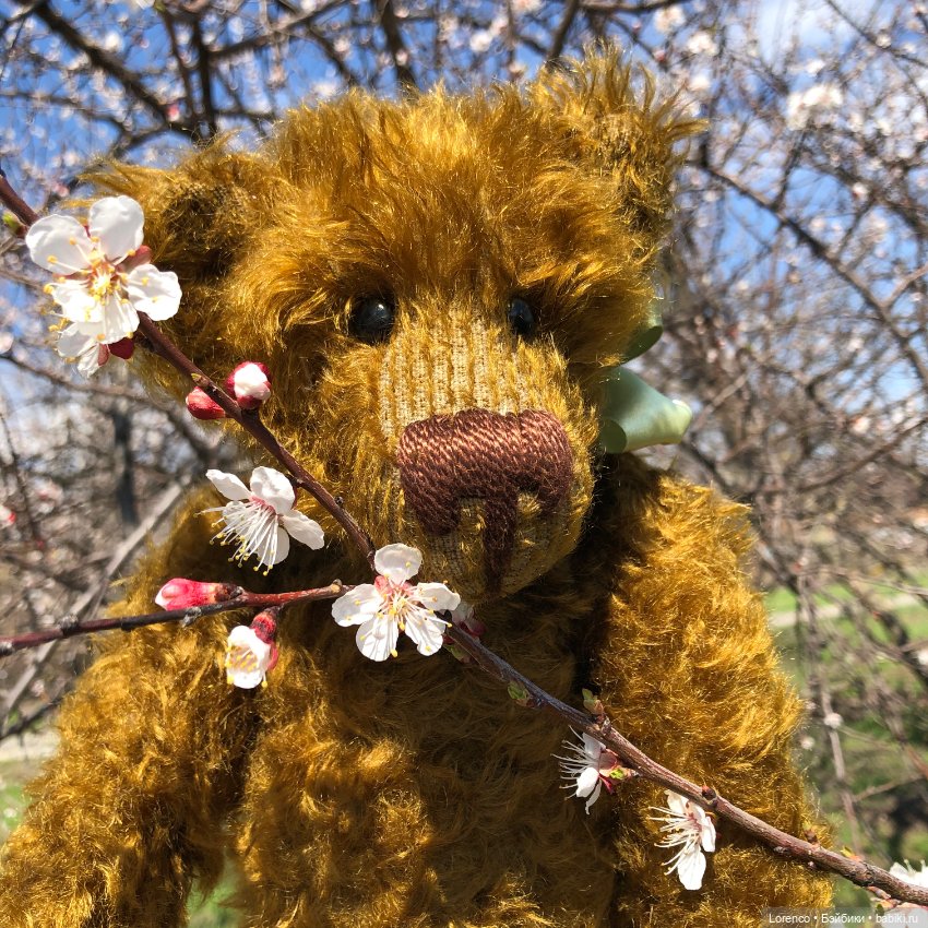 Знакомьтесь, Гюнтер — Домашние фото авторских игрушек: Тедди