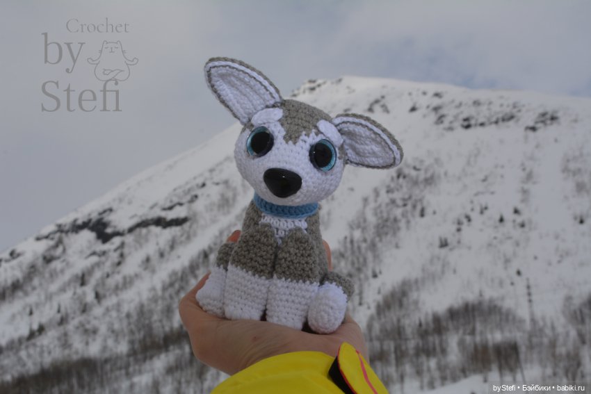 Хаски Вертолётик. Авторская работа (фото 3)