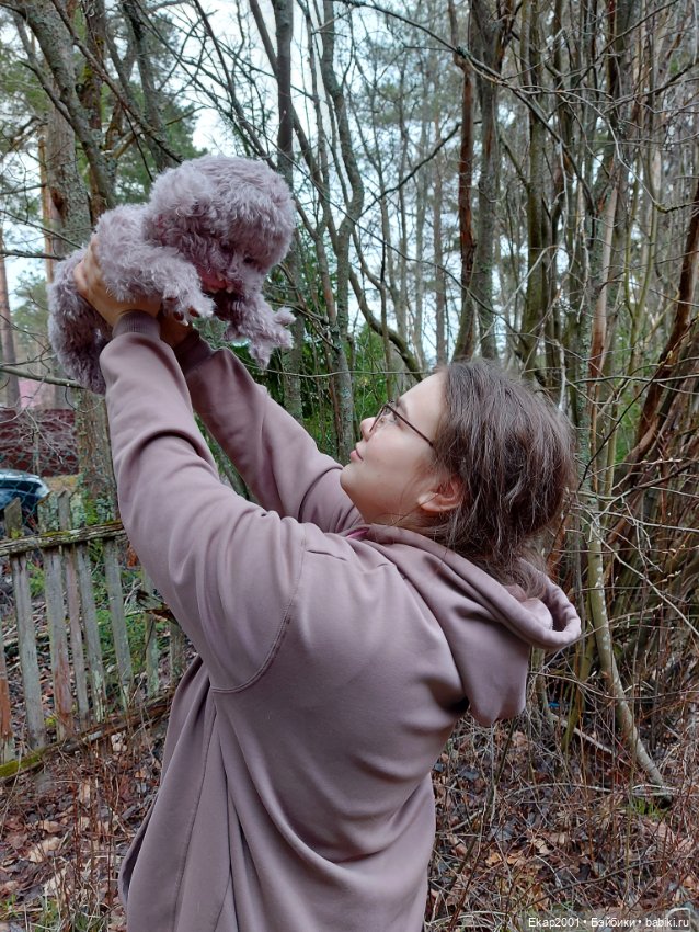 Монстрик — Авторские мишки Тедди и друзья: фото