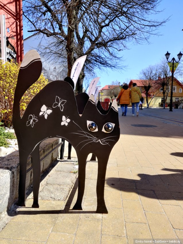 Зеленоградск - город котиков (фото 10)