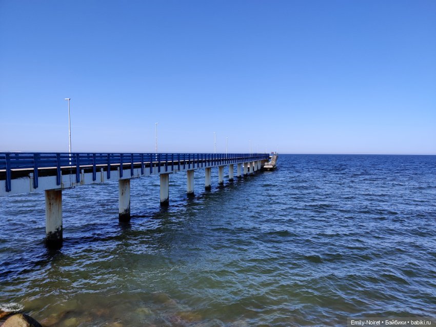 Зеленоградск - город котиков