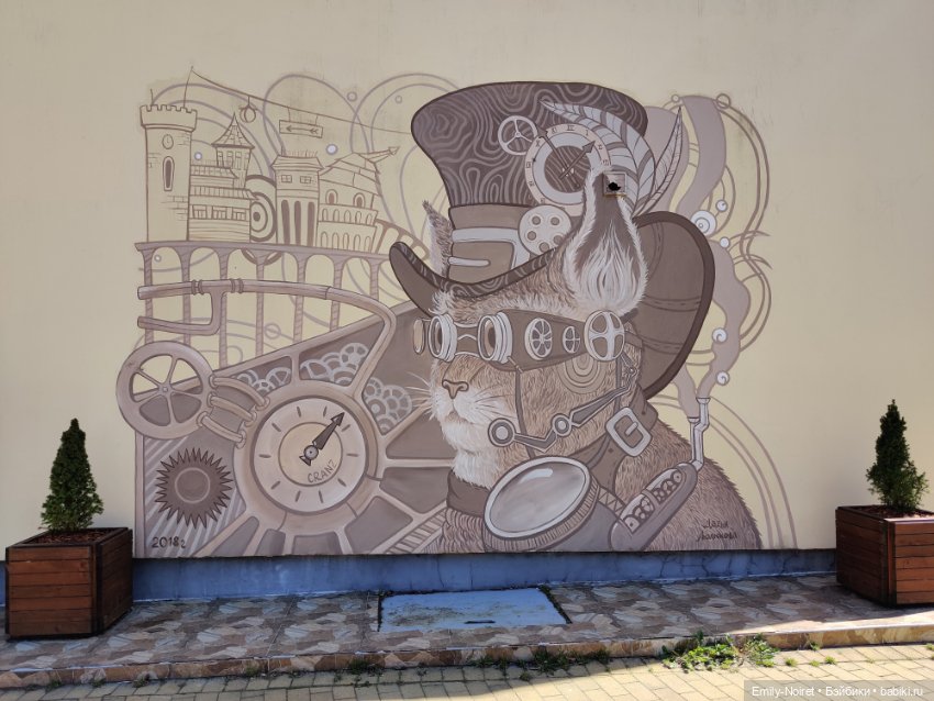 Зеленоградск - город котиков