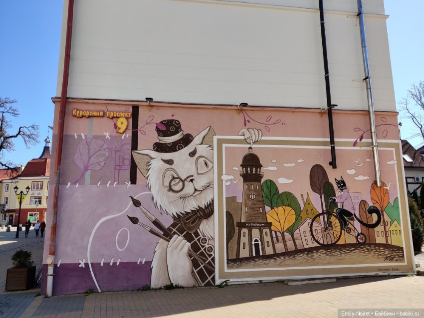 Зеленоградск - город котиков