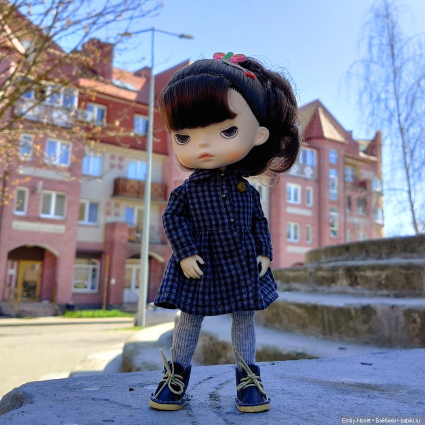 Зеленоградск - город котиков