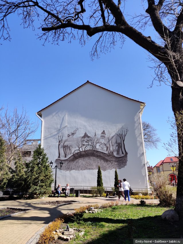 Зеленоградск - город котиков