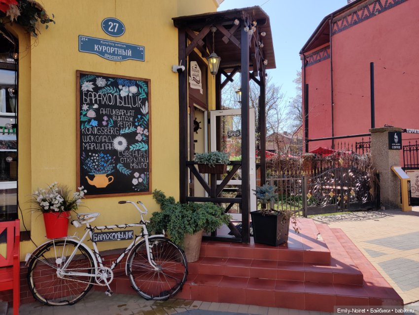 Зеленоградск - город котиков