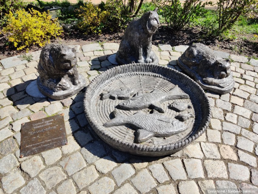 Зеленоградск - город котиков