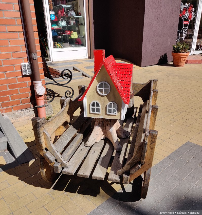 Зеленоградск - город котиков (фото 8)