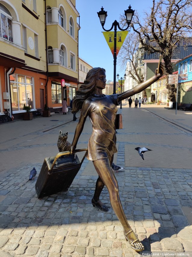 Зеленоградск - город котиков