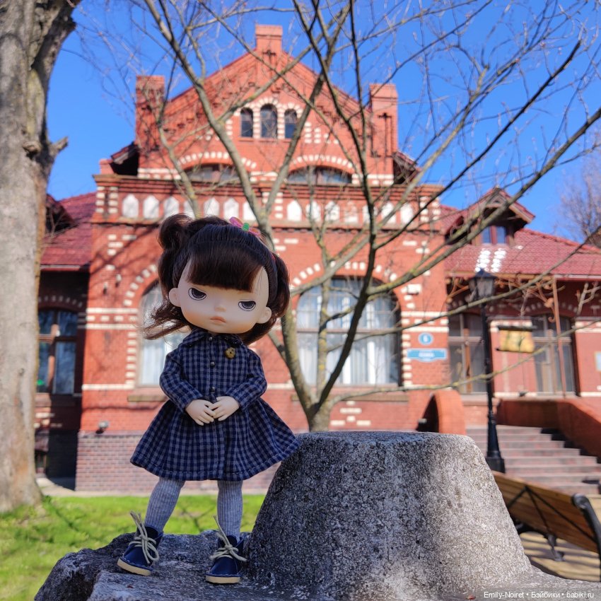 Зеленоградск - город котиков (фото 3)