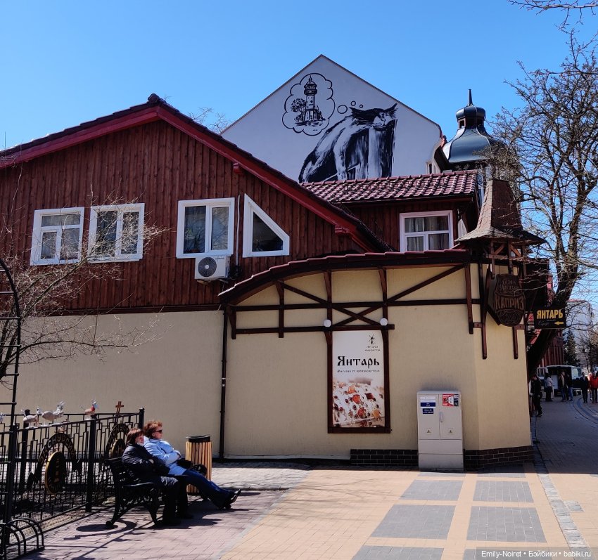 Зеленоградск - город котиков