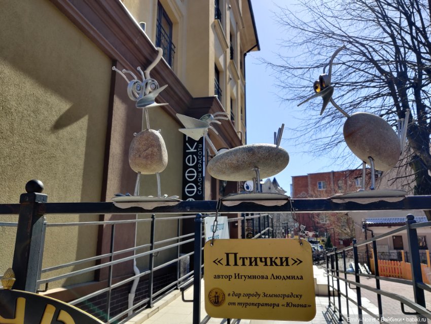 Зеленоградск - город котиков