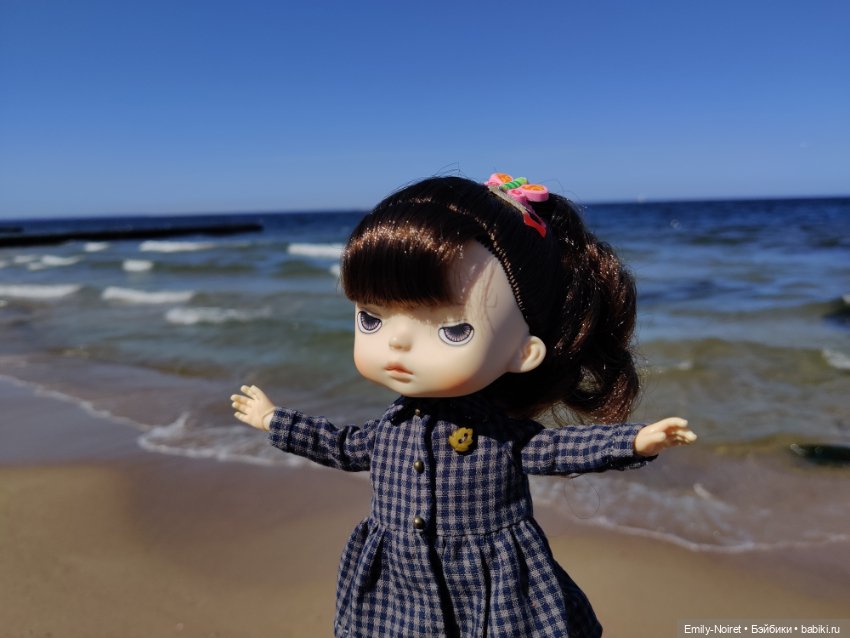 Зеленоградск - город котиков