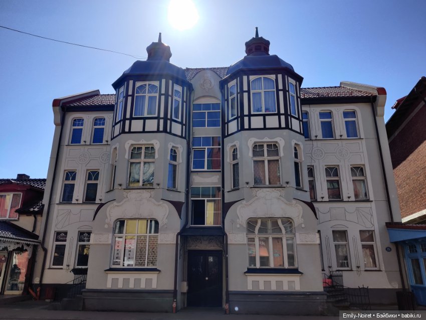 Зеленоградск - город котиков (фото 9)