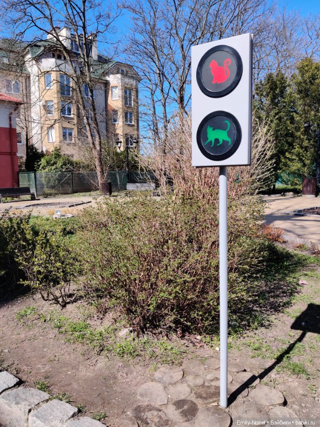 Зеленоградск - город котиков