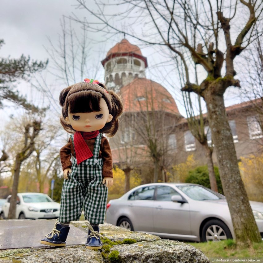 Светлогорск - лесная сказка (фото 3)