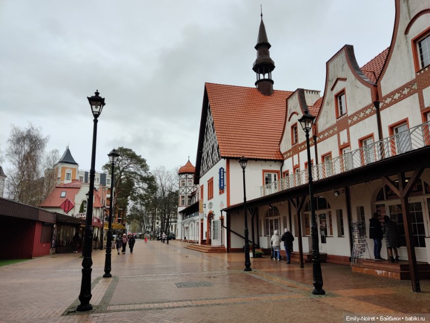 Светлогорск - лесная сказка (фото 9)