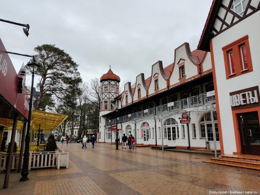 Светлогорск - лесная сказка (фото 10)