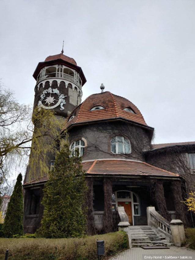 Светлогорск - лесная сказка