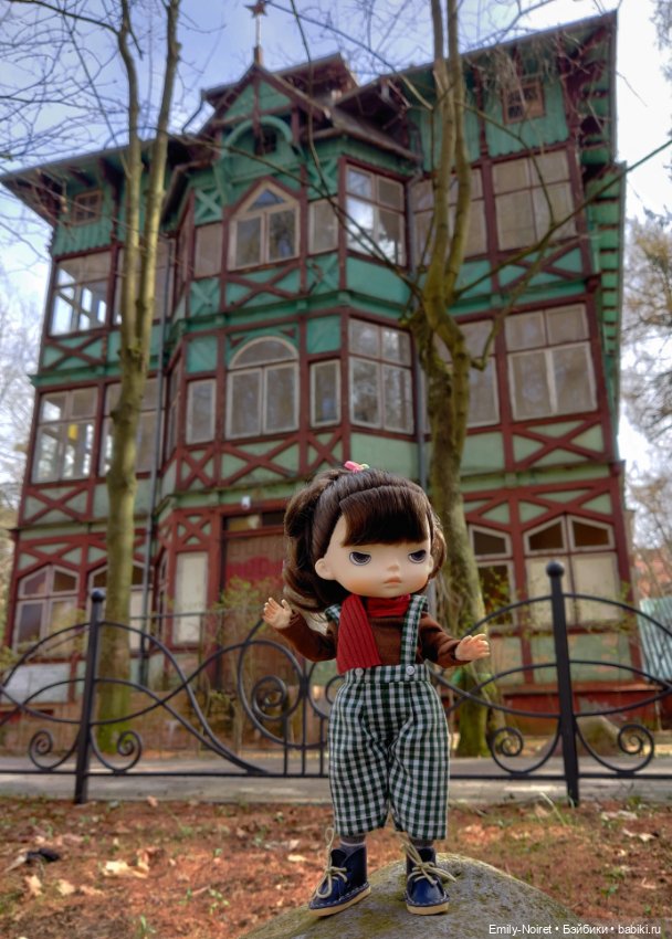 Светлогорск - лесная сказка (фото 6)