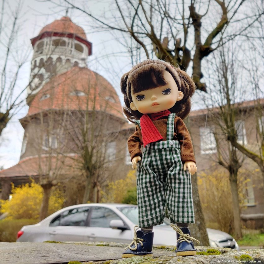 Светлогорск - лесная сказка (фото 2)