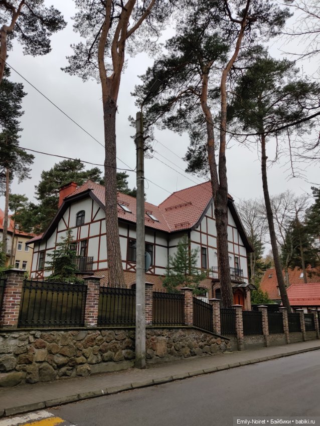 Светлогорск - лесная сказка