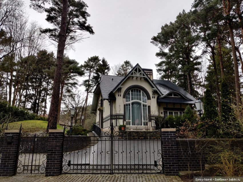 Светлогорск - лесная сказка