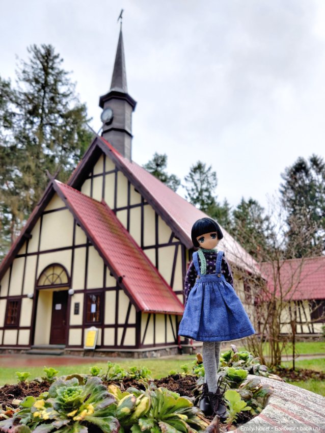 Светлогорск - лесная сказка