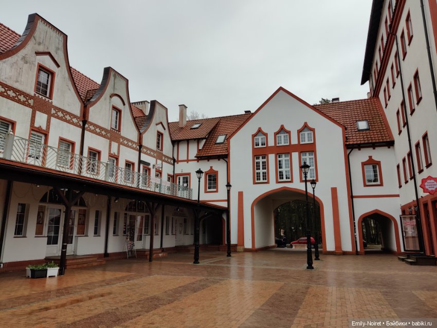 Светлогорск - лесная сказка