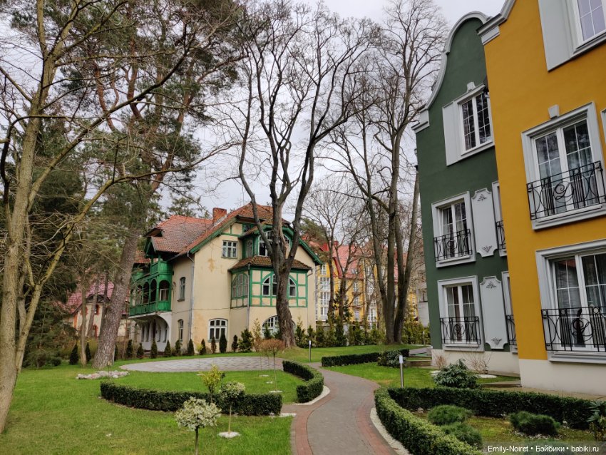 Светлогорск - лесная сказка