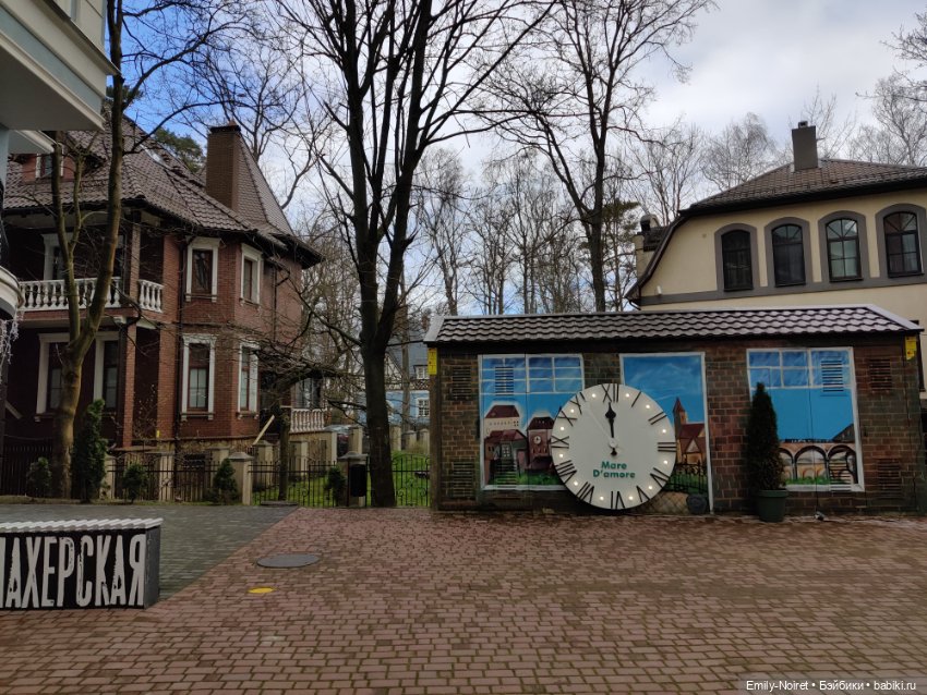 Светлогорск - лесная сказка