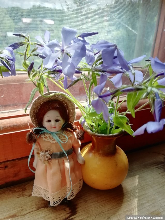 Немножко моих совсем старушек