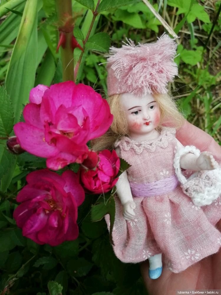 Немножко моих совсем старушек