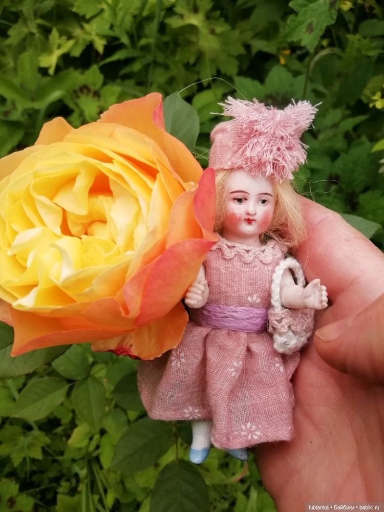 Немножко моих совсем старушек