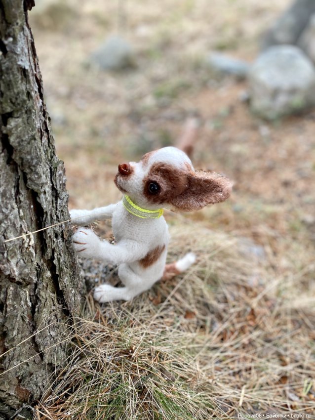 Чихуа́хуа Марик — Вязаные игрушки и амигуруми: крючком (фото 6)