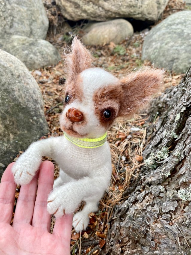 Чихуа́хуа Марик — Вязаные игрушки и амигуруми: крючком (фото 5)