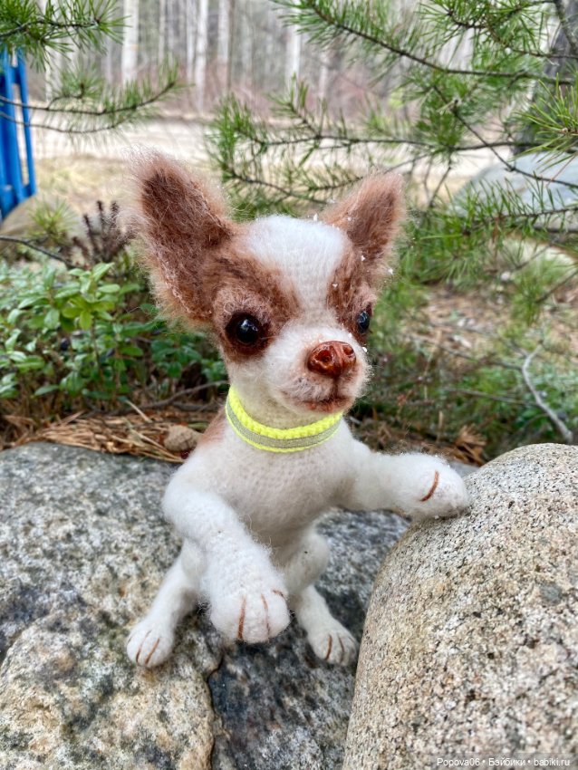 Чихуа́хуа Марик — Вязаные игрушки и амигуруми: крючком (фото 2)