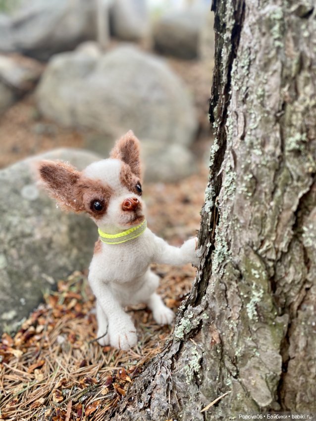 Чихуа́хуа Марик — Вязаные игрушки и амигуруми: крючком