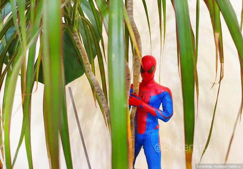 Самая красивая. Нарама Phicen (фото 3)