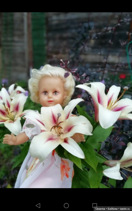 Благодарения топик — Болталка и разговоры обо всем: жизнь