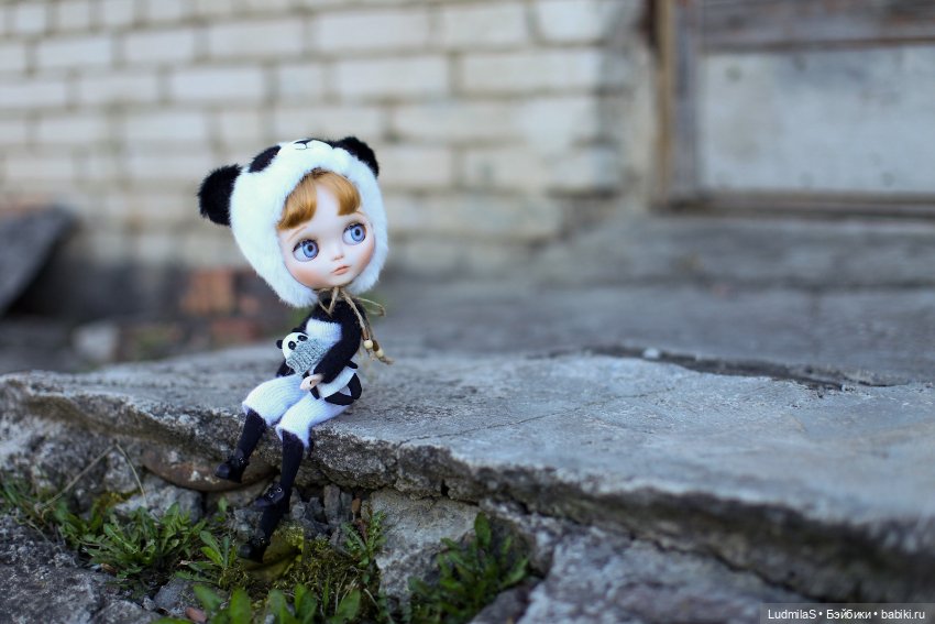 Панда — Болталка и разговоры обо всем: жизнь (фото 2)