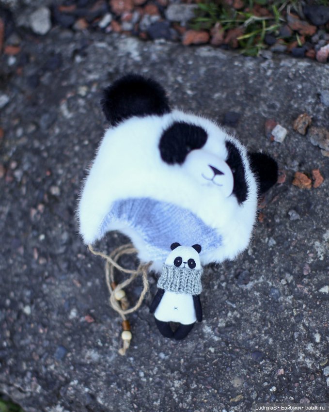 Панда — Болталка и разговоры обо всем: жизнь (фото 6)