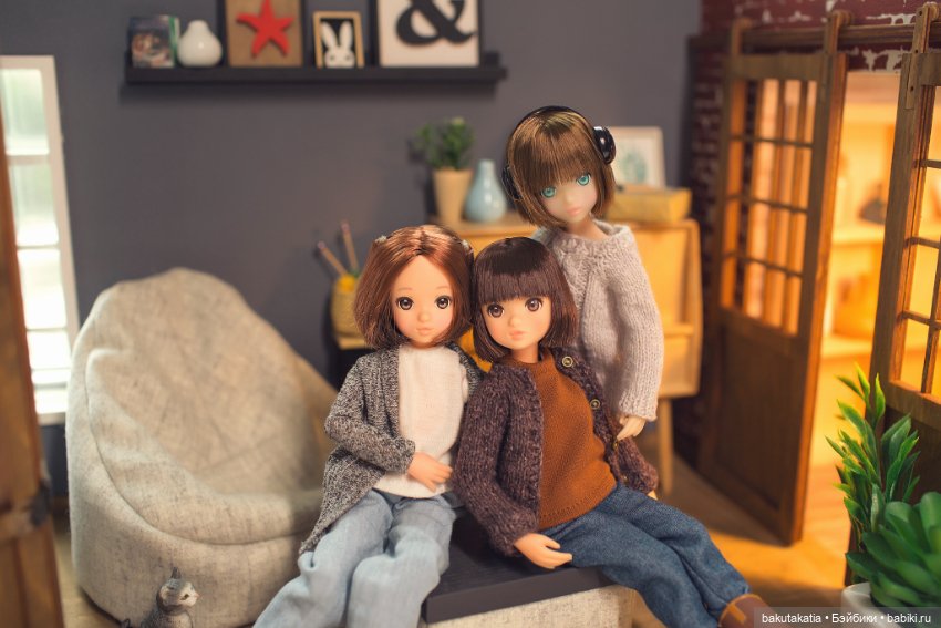 Ruruko — Куклы Momoko и Ruruko (Petworks (фото 4)