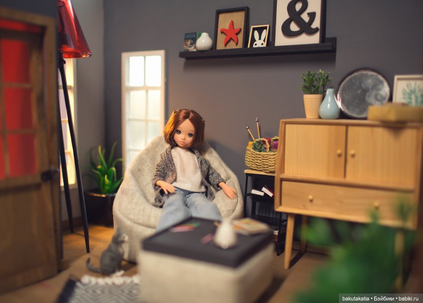 Ruruko — Куклы Momoko и Ruruko (Petworks