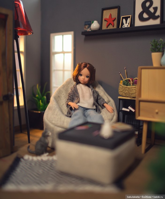 Ruruko — Куклы Momoko и Ruruko (Petworks