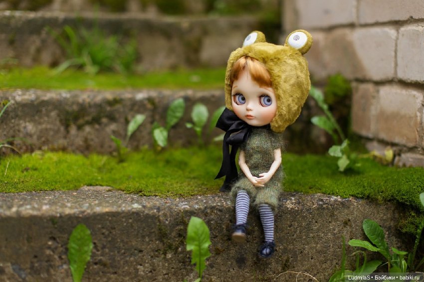 Лягушка — Болталка и разговоры обо всем: жизнь (фото 3)