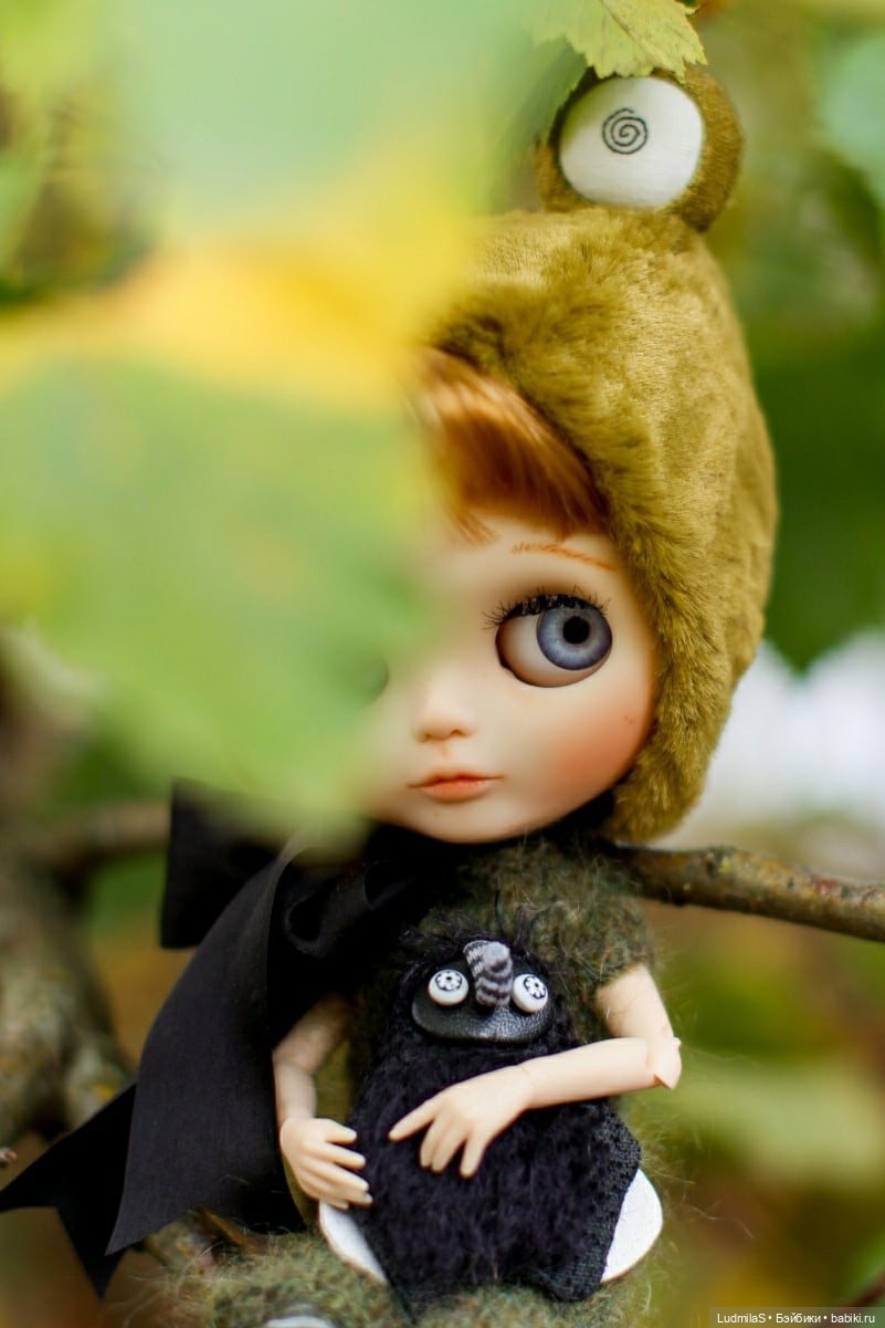 Лягушка — Болталка и разговоры обо всем: жизнь (фото 4)