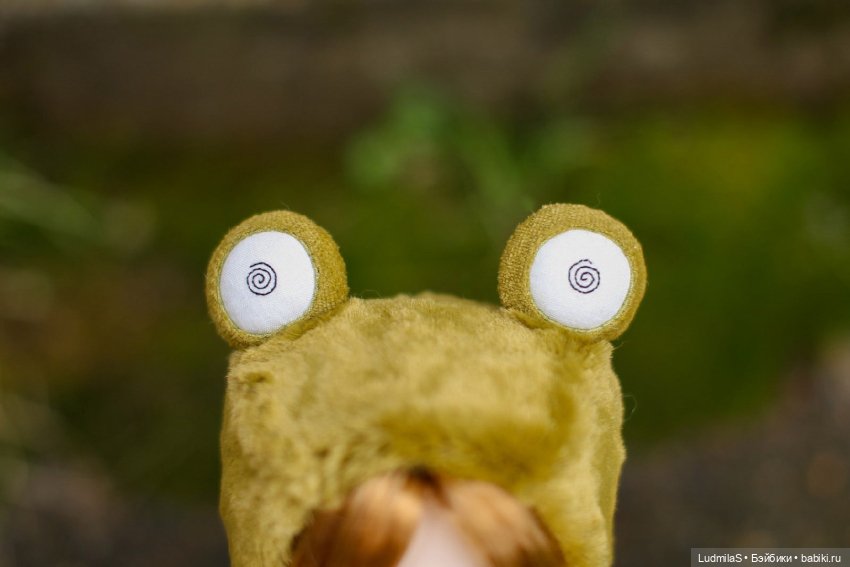 Лягушка — Болталка и разговоры обо всем: жизнь (фото 2)