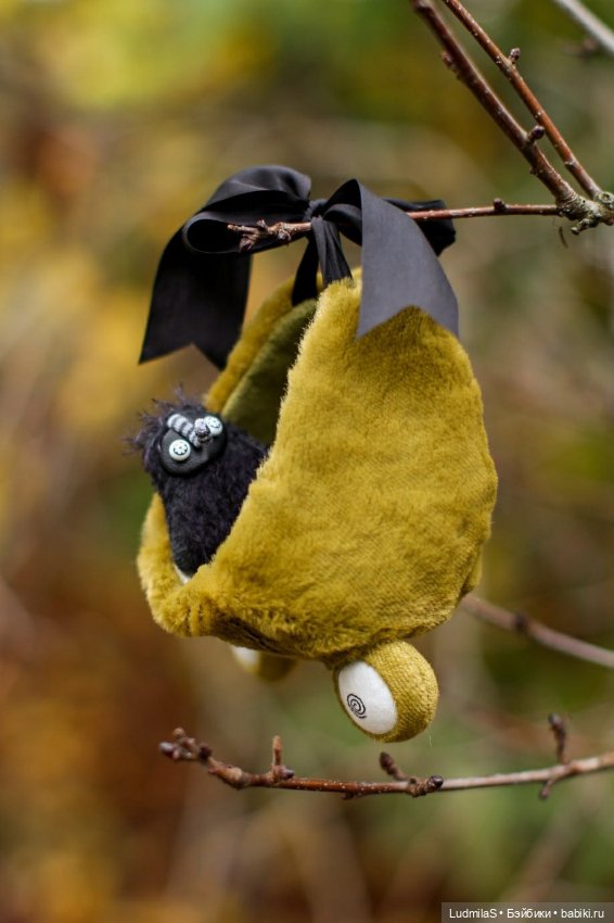 Лягушка — Болталка и разговоры обо всем: жизнь (фото 6)